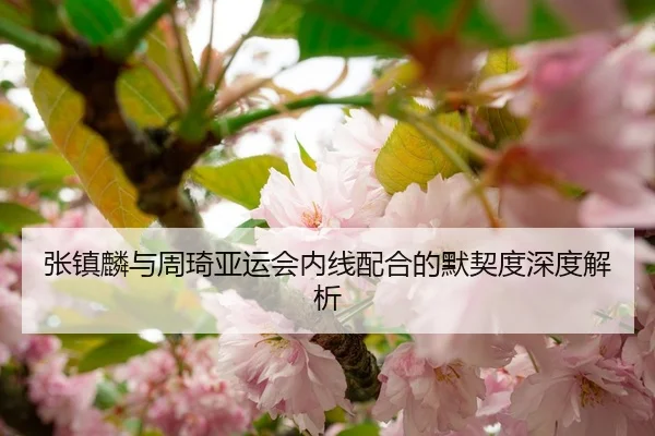 张镇麟与周琦亚运会内线配合的默契度深度解析