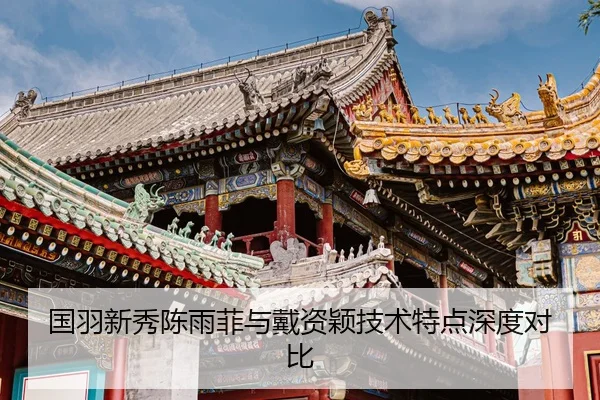 国羽新秀陈雨菲与戴资颖技术特点深度对比
